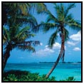 Tahaa